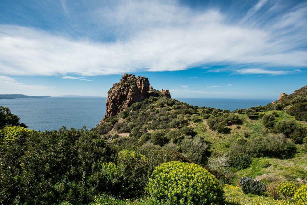 Villa Brezza Marina Nebida Zewnętrze zdjęcie